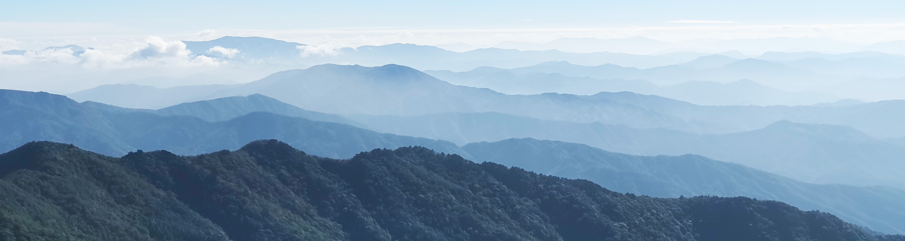 婺源鄣山村秋天枫叶红