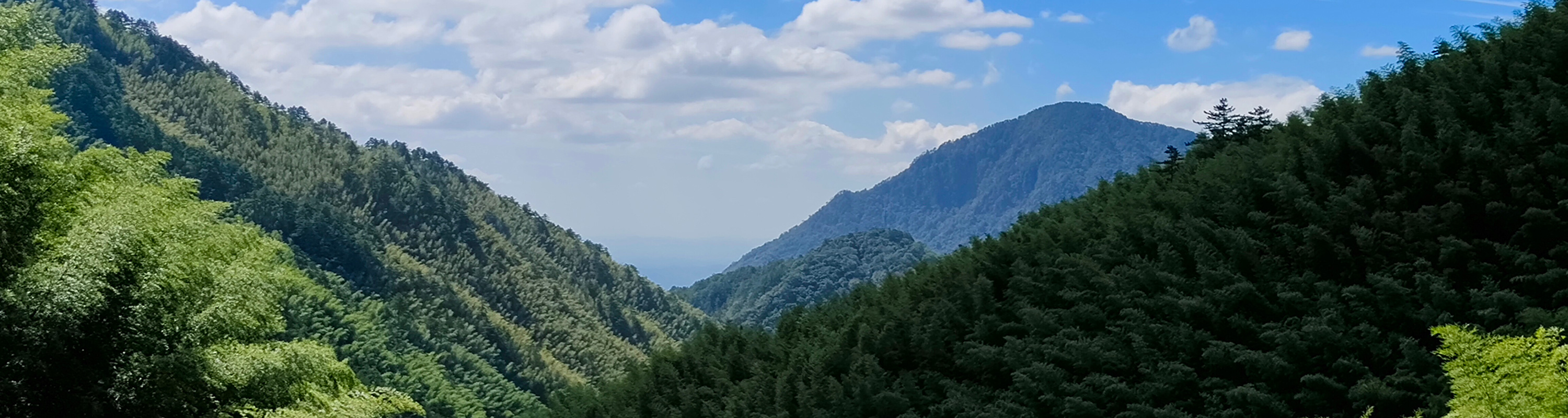 婺源鄣山村自然风光