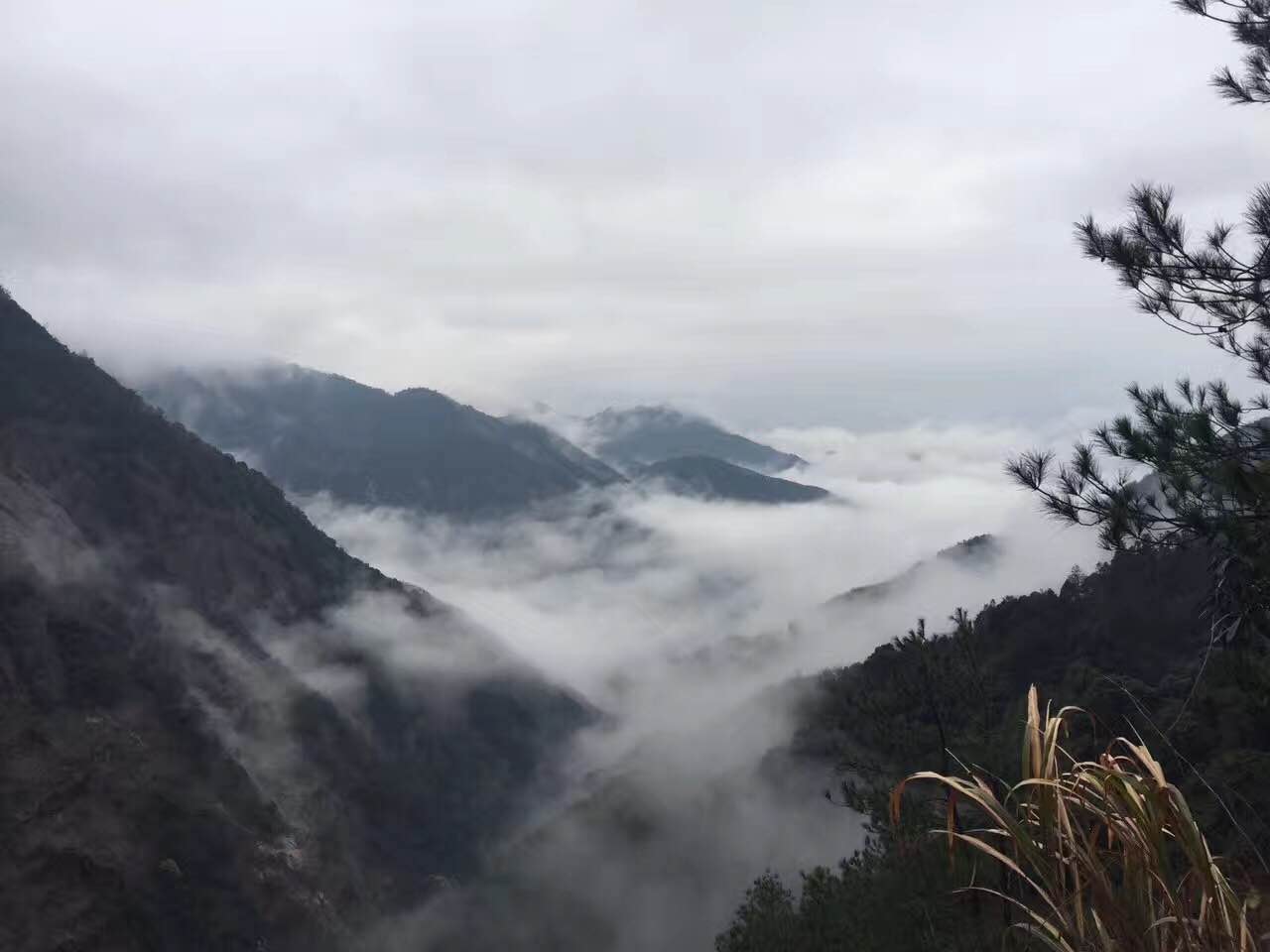婺源鄣山村的盘山公路云雾缭绕